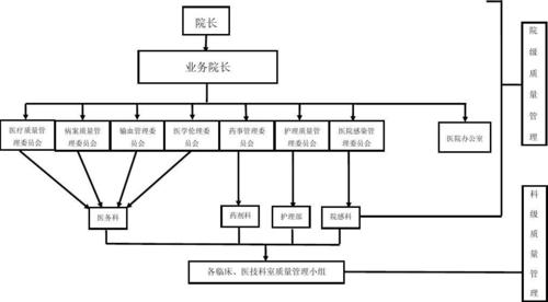 峭岐医院院,科(kē)两级医疗质量管理(lǐ)组织图