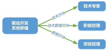 软件工程师适合去芯片公司吗