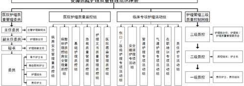 2017年--医院护理(lǐ)质量管理(lǐ)组织體(tǐ)系架构图