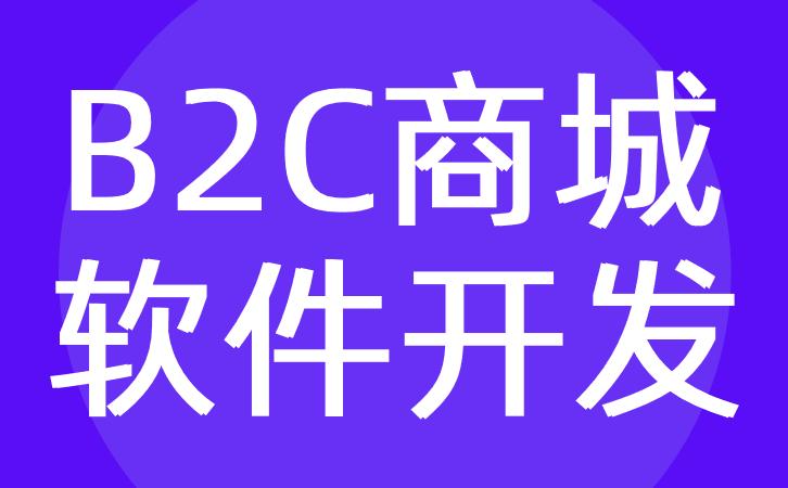 b2c商(shāng)城软件开发b2c購(gòu)物(wù)電(diàn)商(shāng)软件定制公司红匣子科(kē)技