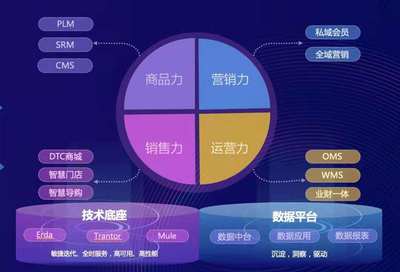 端点“四力模型”:新(xīn)锐品牌的未来数字化路径探索