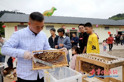 采蜂蜜、品小(xiǎo)吃,宁化这个乡的文(wén)化节甜蜜来袭